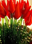 Тюльпаны из стекла. Красные
