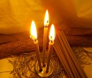 Можжевельник и сосенка - обереговые свечи ручной работы (9 шт)