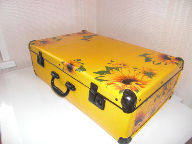 Солнечный чемоданчик