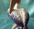 Пеликан белый