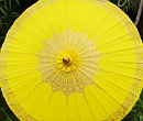 Расписной традиционный тайский зонт 