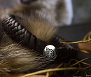 Кожаный браслет с гравировкой волка коричневый серебряный на заказ