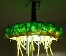 Mangr Lamp
