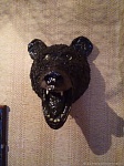 Голова Медведя