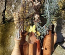 Деревянные вазы для маленьких букетиков цветов из разных пород дерева
