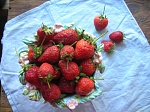 Berry Bowl/конфетница "Цветущий сад"