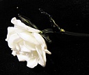 Белая роза из стекла